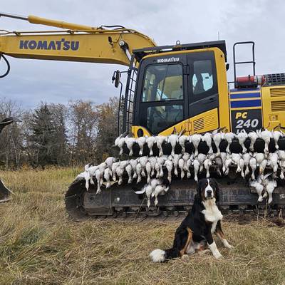 5 Day Waterfowl hunt