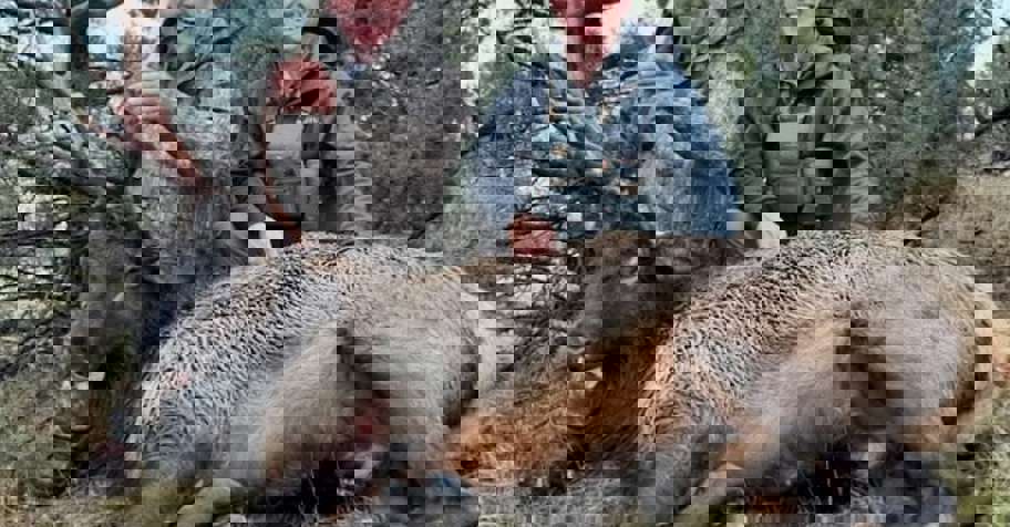 Rocky Mt Bull Elk- 2nd Rifle