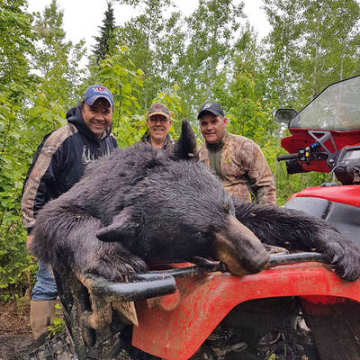 Black Bear Hunt