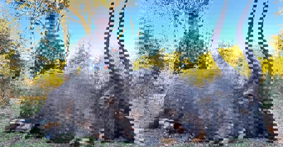 1x1 Nyala, Kudu+Gemsbok Pkg (7 Trophies)