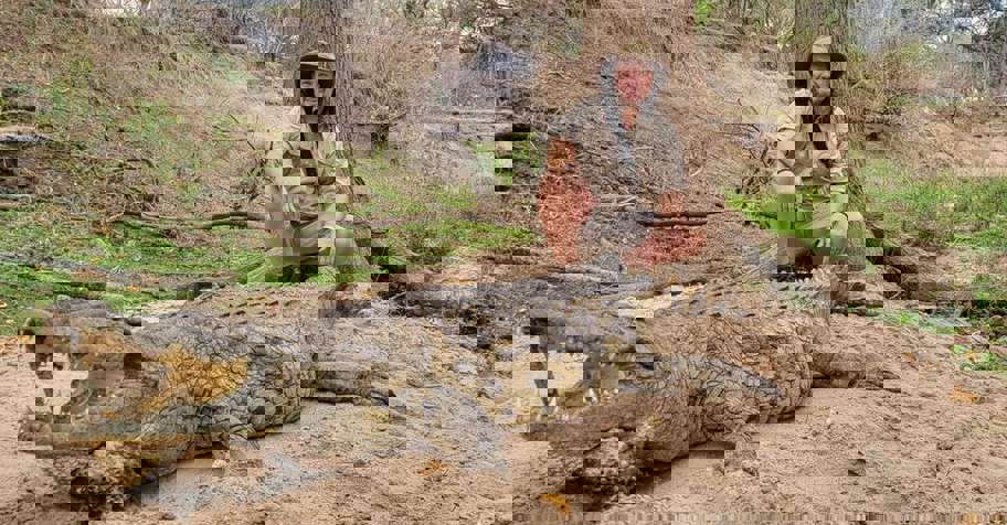 5 Day Crocodile Show Special