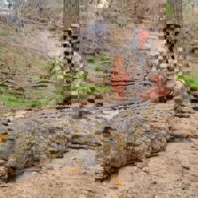 5 Day Crocodile Show Special