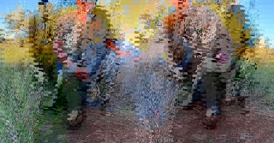 Buffalo, Roan & Sable Package