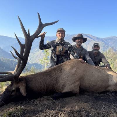 Backcountry fly-in Trophy Elk Hunt 2026
