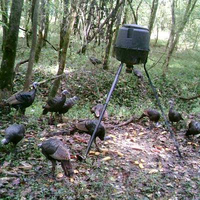 2 DAY/NT YOUTH TURKEY HUNT $750