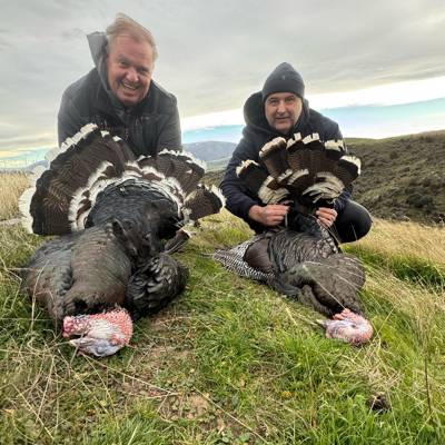 NZ Waterfowl hunt 6 species included