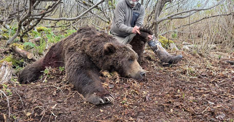 Kodiak-Brown Bear Fall Hunt - cabin