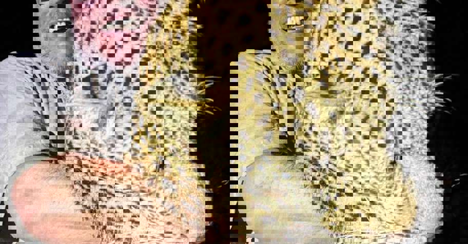 14 Day Leopard Safari