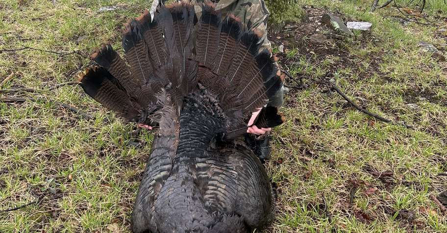 central P.A spring turkey 2027