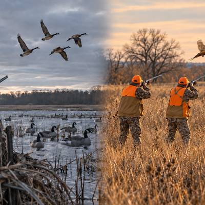 Guided Waterfowl & Upland Bird Hunt