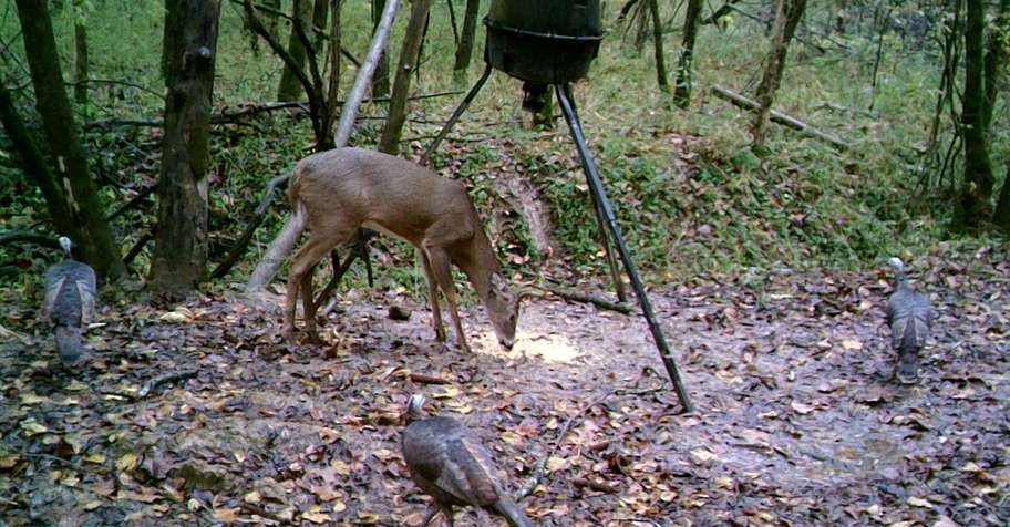 2027 Turkey Hunt -$750 EACH