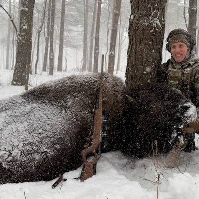 Bison Meat hunt 2026