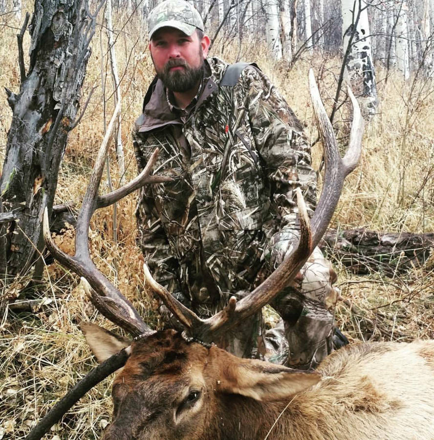 Colorado 3rd Rifle Elk / Colorado, United States