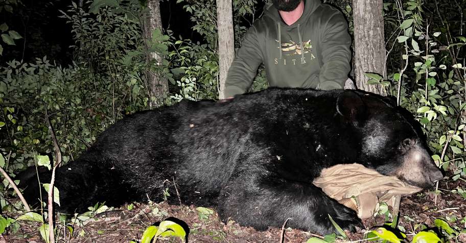 3 Day Fall Black Bear Hunt