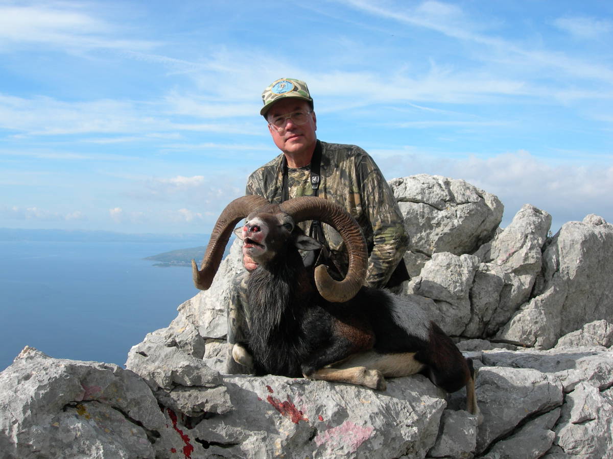 処分 西川リビング マフロン naturas mouflon 処分 西川リビング