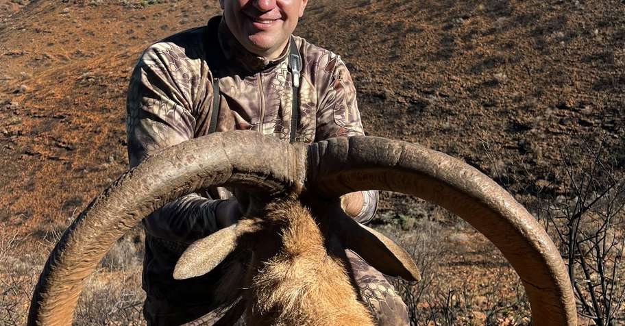 Barbary Sheep Hunting