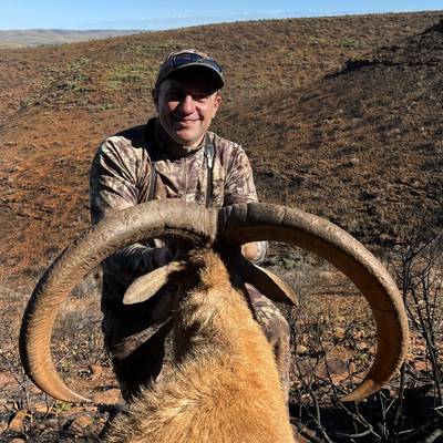 Barbary Sheep Hunting