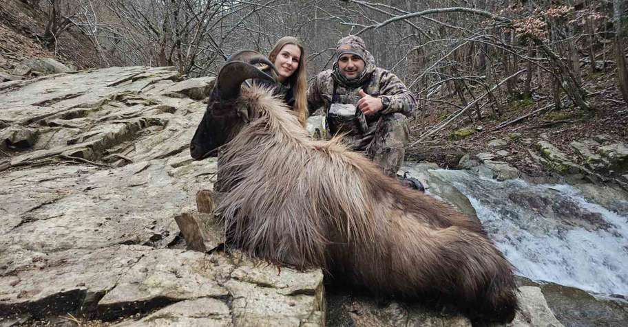 Himalayan Tahr Bulgaria
