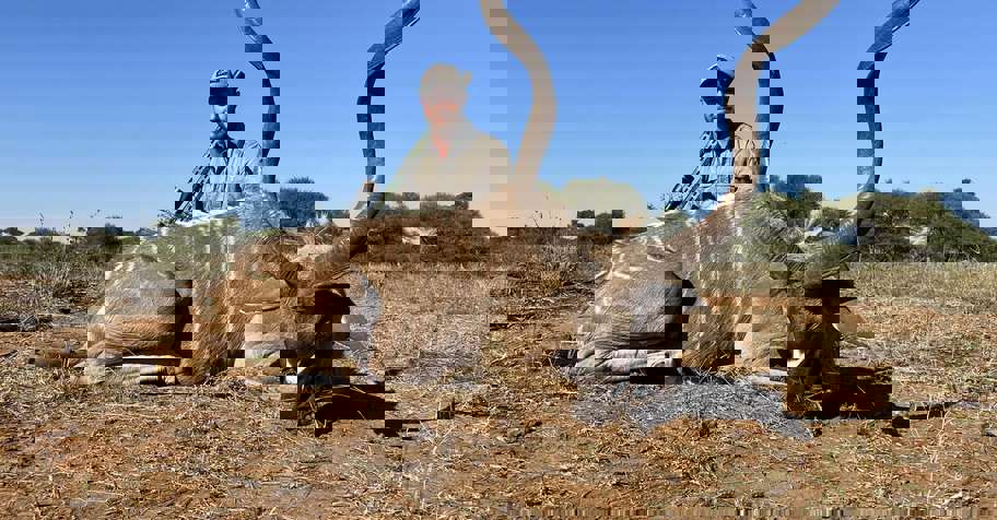 Spiral Horn Hunt - 3 Trophies