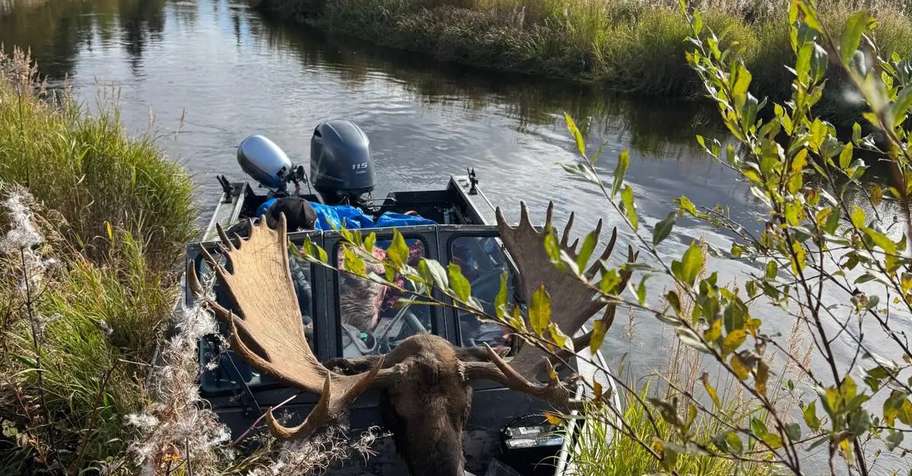 Self Guided Moose Hunt