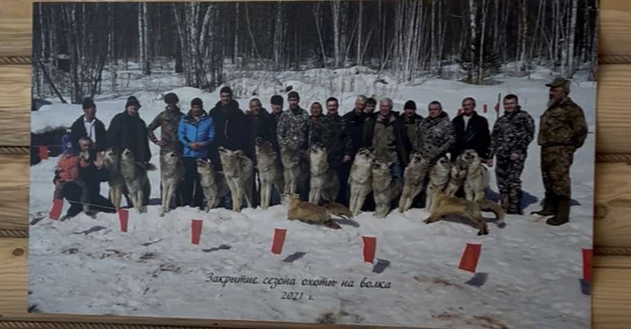 Baikal twenty animals big crazy hunting!