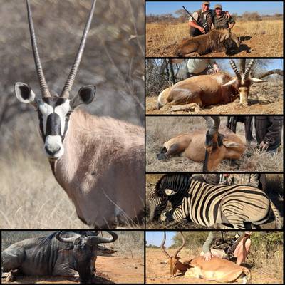 Bushveld Hunter - 7 Trophies