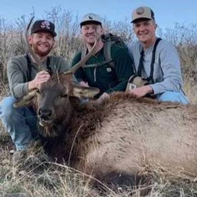 Limited Entry Bull Elk