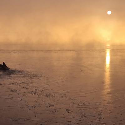 Collector's Duck Hunt in Romania