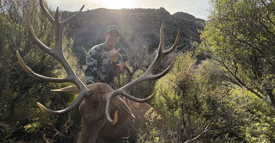 Red Stag & Fallow Buck - 2026 ROAR DATES