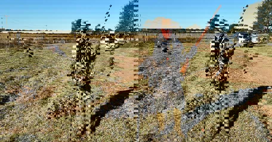 Pigeon Shooting in Tucuman