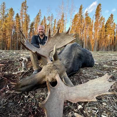 Alberta moose rut hunt