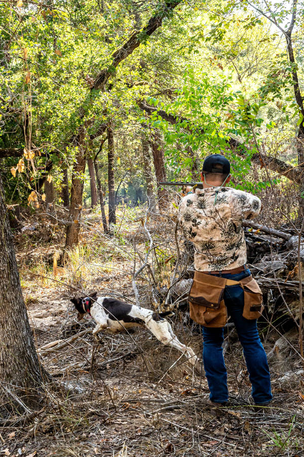Quail or Pheasant Hunt '24 / Texas, United States