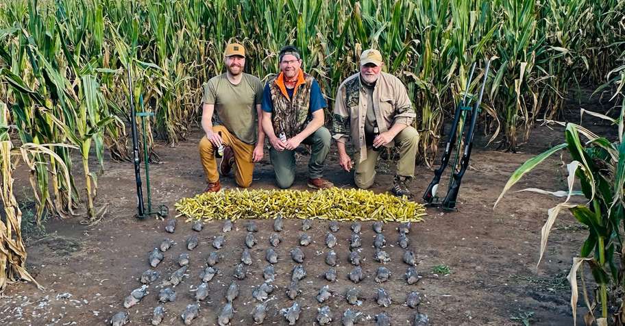 4-Day Dove Hunt - 2 Hunters