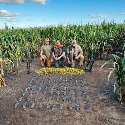 4-Day Dove Hunt - 2 Hunters