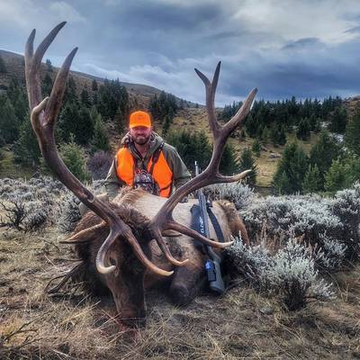 7 Day Archery / Rifle Elk Hunt