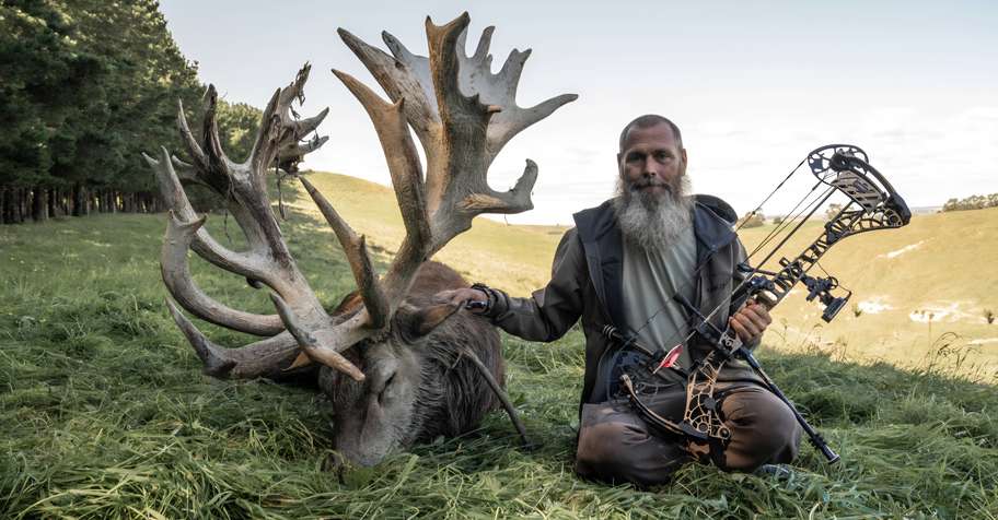 New Zealand Red Stag 491-520 SCI