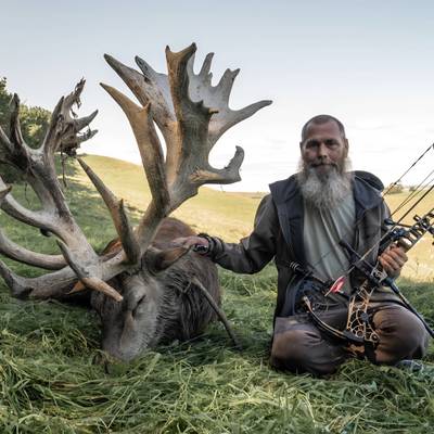 New Zealand Red Stag 491-520 SCI