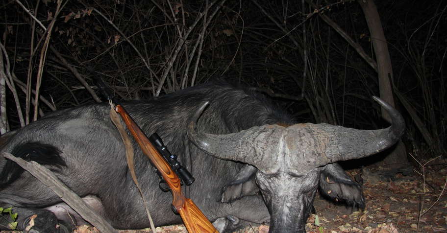 7 Day Buffalo & Kudu for 2 Hunters