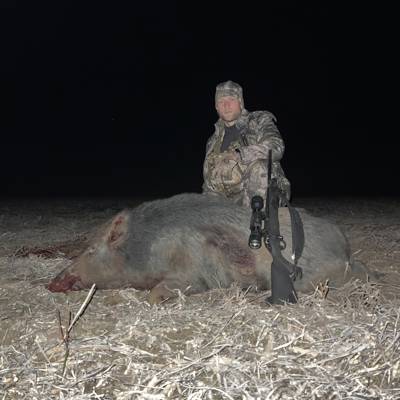 Wild Boar in Tennessee '24