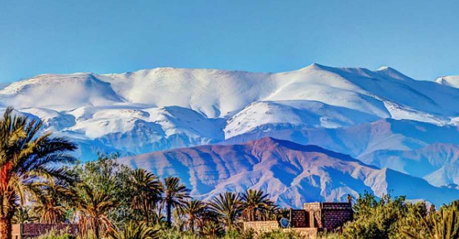 3 Days Small Game & Wild Boar Hunt