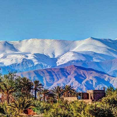 3 Days Small Game & Wild Boar Hunt