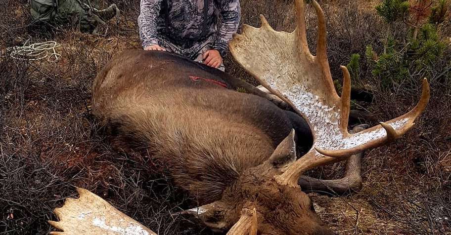 Cancellation Rut Moose hunt