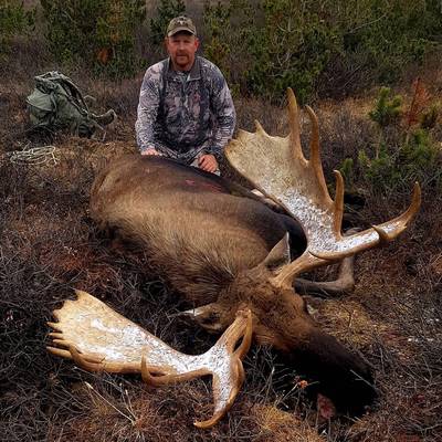 Cancellation Rut Moose hunt