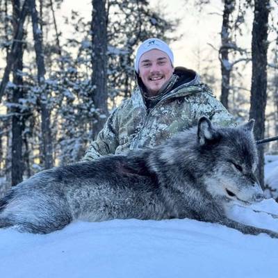 Winter Wolf Hunt