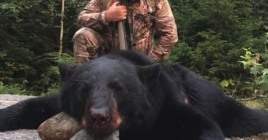 Maine Bear Hunts with Hounds 2026
