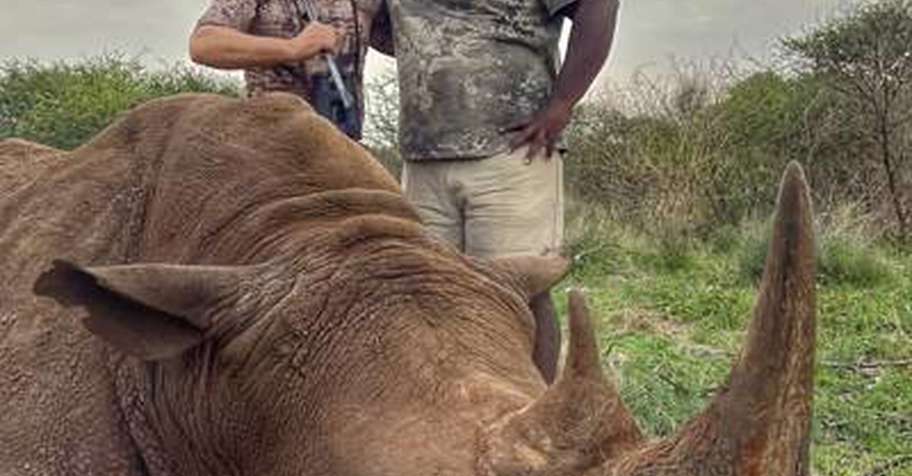 Rhino Bull Package Hunt