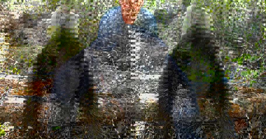 2 on 1 BC Spring bear ‘26