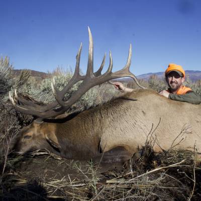 Colorado Rifle Elk Hunt