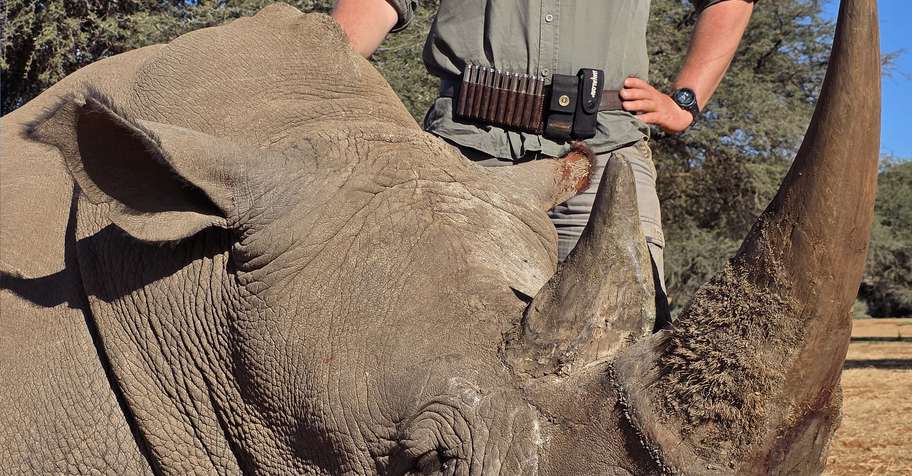 Rhino Hunting 2026