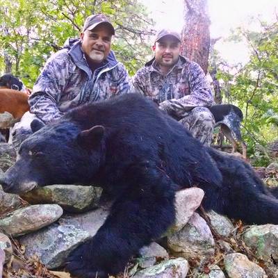 NM Bear Hunt with Dogs